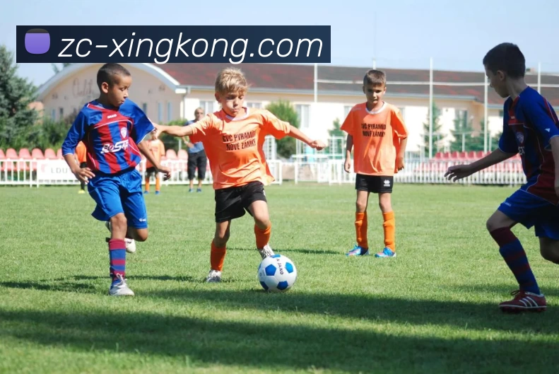 星空官网发展历程